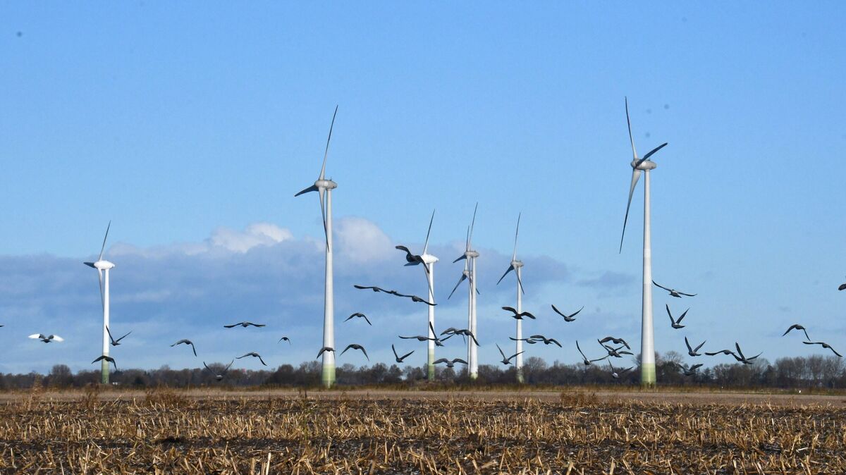 Auch um bereits vorhandene Windräder - wie hier im Bereich Osterbruch, Kehdingbruch und Bülkau - geht es bei der Windparkplanung des Landkreises Cuxhaven. Wo aber werden künftig neue Windräder entstehen? Diese Frage soll im kommenden Jahr beantwortet werden. Foto: Schröder
