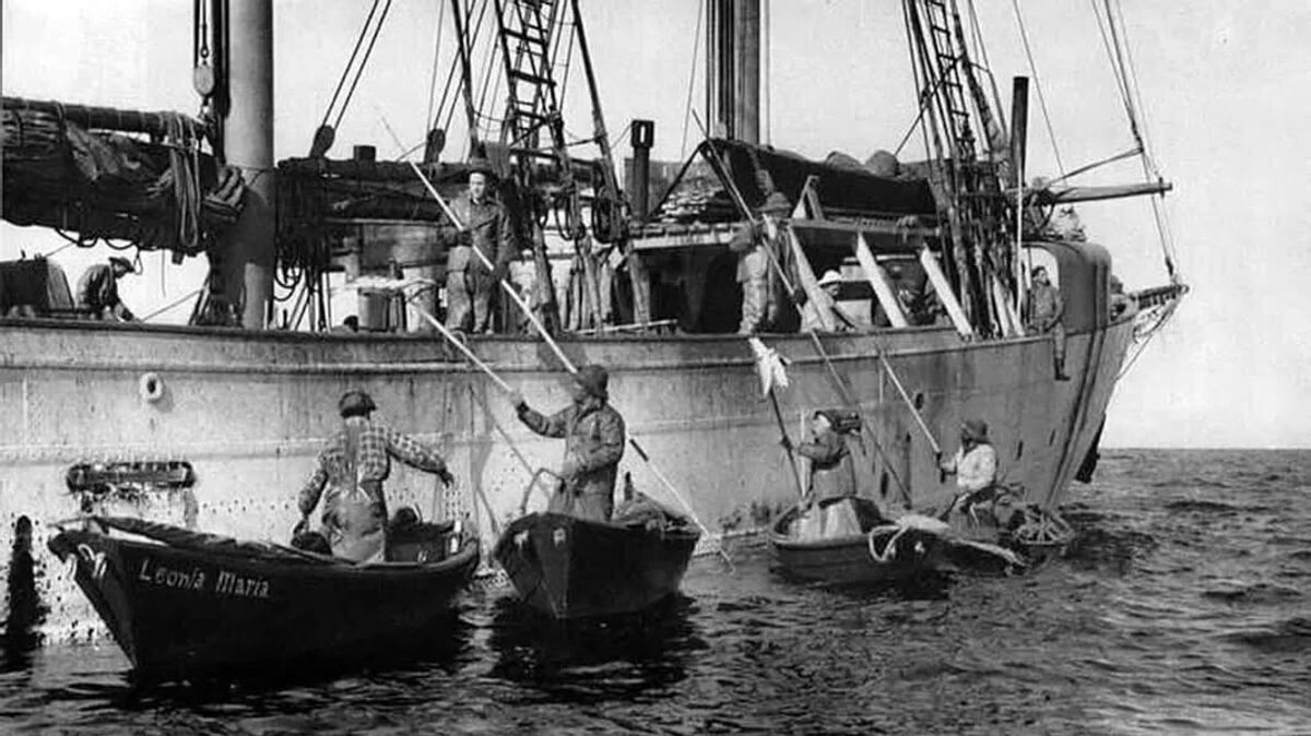 Portugiesische Fischer bei der Arbeit: Auf kleinen Dorys kehren sie nach einem langen Tag auf See zurück zu ihrem Mutterschiff. Ihre Expertise im Fischfang und Salzen revolutionierte die Fischindustrie in Cuxhaven und hinterließ einen bleibenden Eindruck in der Stadtgeschichte. Foto: privat