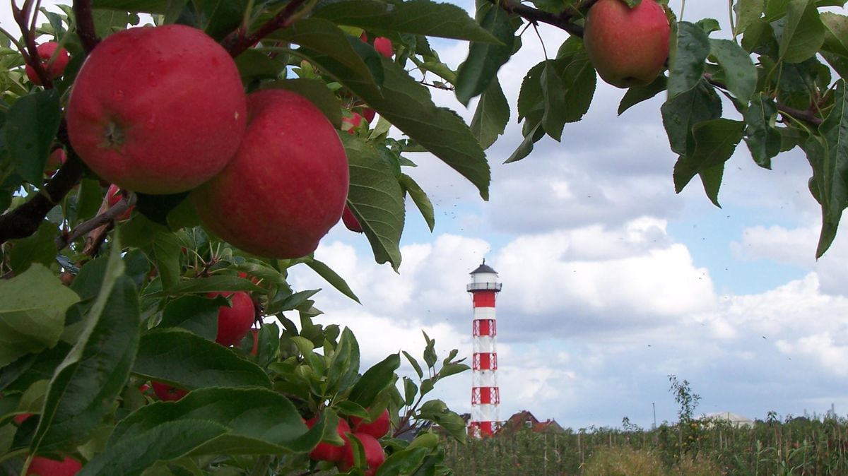 Der Stader Landrat Michael Roesberg appelliert dringend an Ausflügler, das Alte Land zu Ostern und zur Obstblüte in diesem Jahr zu meiden. Foto: Archiv