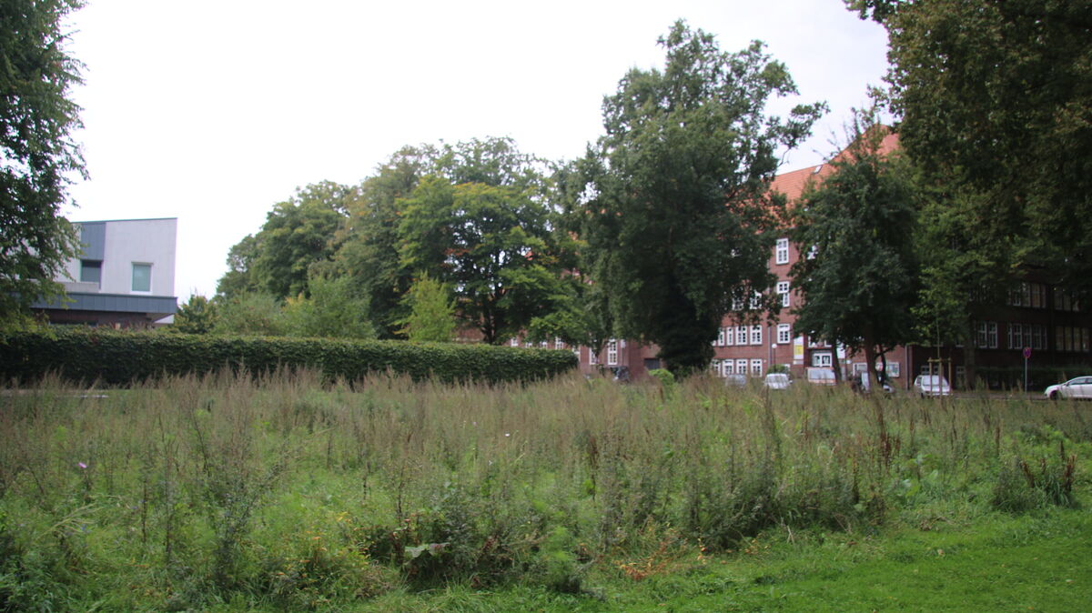 Gleich neben der DRK-Kita in einer Senke auf der ehemaligen Rathaus-Wiese könnte der Container für die Gorch-Fock-Schule entstehen – als provisorischer Klassenraum für die nächsten vier Jahre. Foto: Potschka