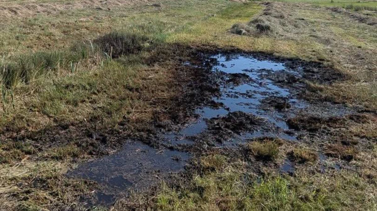 Beim Eintreffen der Eisatzkräfte brennen noch etwa 30 Quadratmeter auf der landwirtschaftlichen Fläche. Foto: Lange
