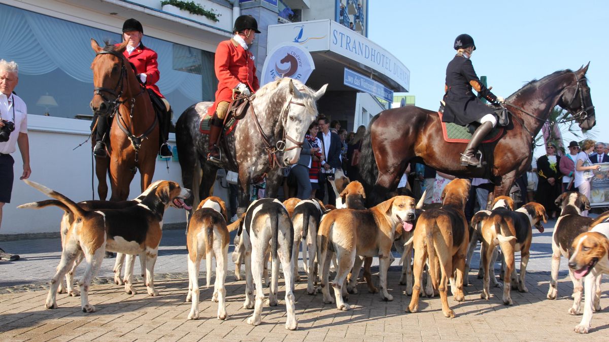 Das Duhner Wattrennen 2019. Foto: Sassen