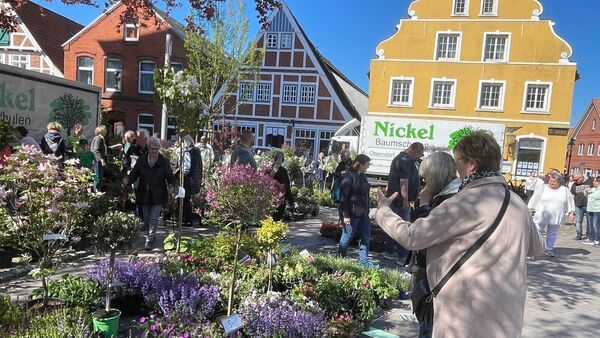 Bauernmarkt Otterndorf: 65 Stände locken Besucher in Altstadt
