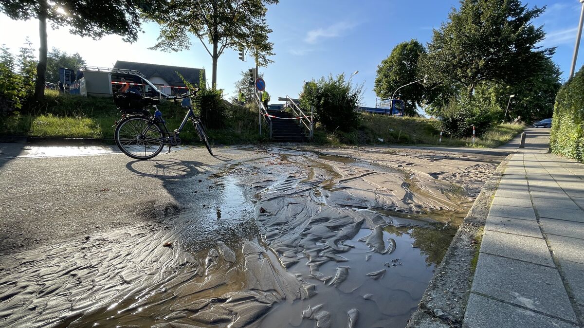 Beim Wasserrohrbruch am 31. August 2024 Jahres ergoss sich der Schlamm wieder über die Treppe in den unterhalb verlaufenden Franzenburger Weg. Foto: Reese-Winne