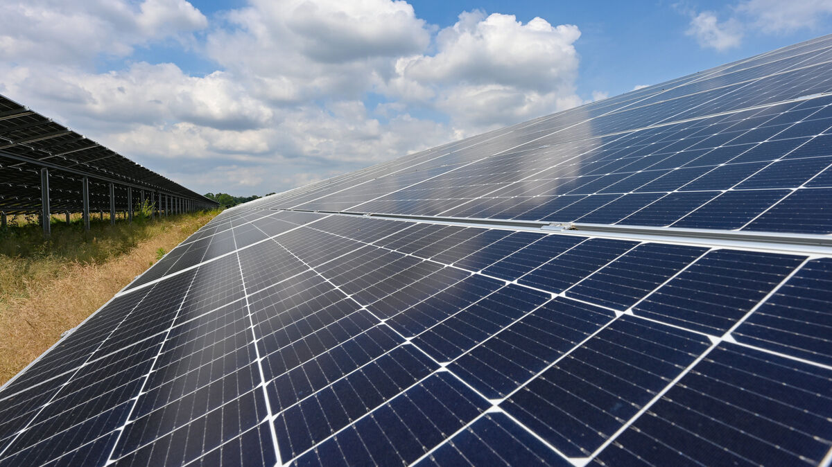 Solarzukunft in Osterbruch: Auf einer 22 Hektar großen Fläche soll ein neuer Solarpark entstehen, der klimafreundlichen Strom für die Region liefert. Foto: Pleul/dpa