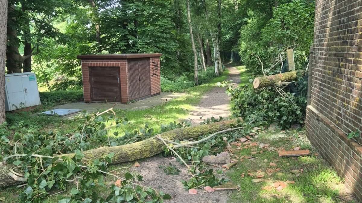 Vermutlich infolge der anhaltenden Trockenheit brach aus einem großen Baum ein kräftiger Ast heraus und stürzte auf die Fahrbahn. Foto: Feuerwehr