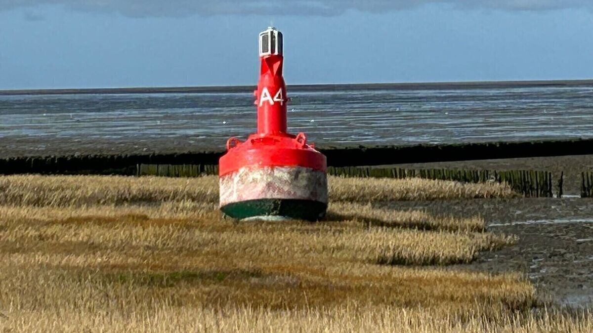 Hoch und trocken liegt die Fahrwassertonne in den Salzwiesen zwischen Sahlenburg und Arensch. Foto: Peters