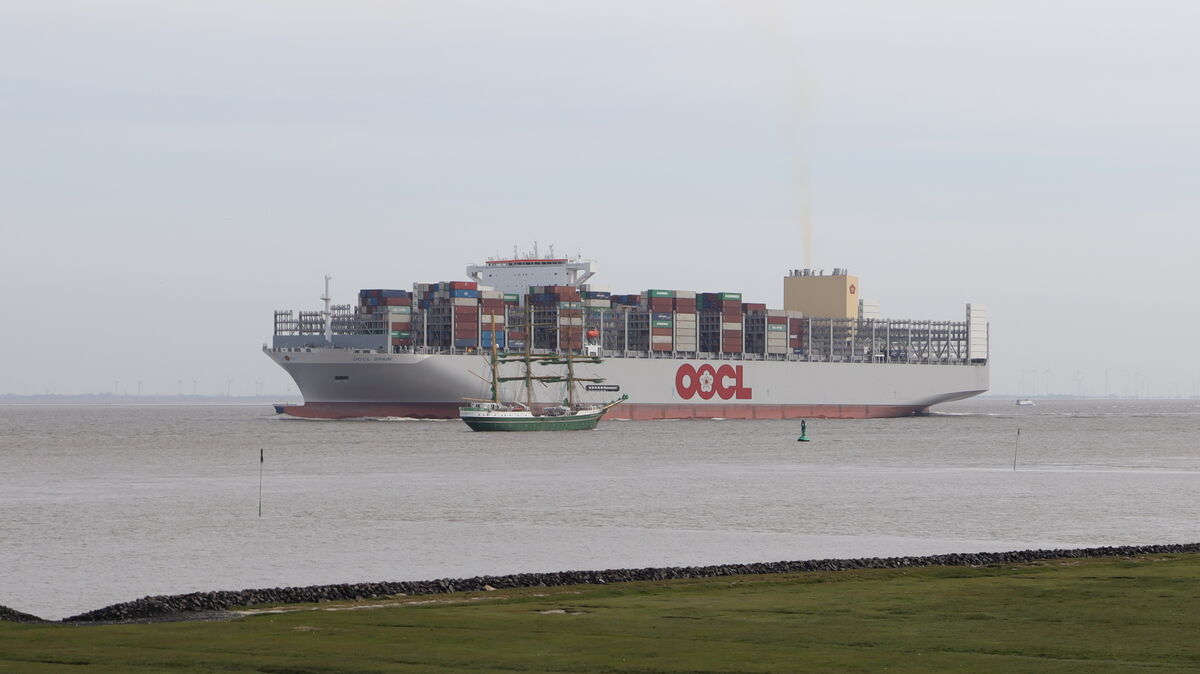 Das Containerschiff "OOCL Spain" und die Dreimast-Bark "Alexander von Humboldt II" treffen sich am Donnerstag auf der Elbe. Während der Frachter aus Hamburg kommt, will das Segelschiff in die Hansestadt. Foto: Fischer
