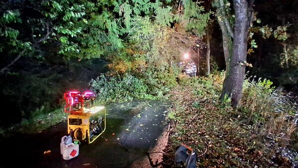 Sturmtief "Joshua": Feuerwehr Wingst räumt nach nächtlichem Sturmeinsatz auf