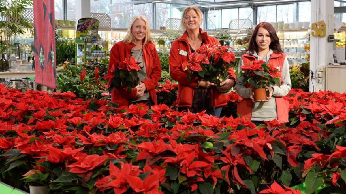 3. Adventssonntag im Hagebaumarkt | CNV Medien
