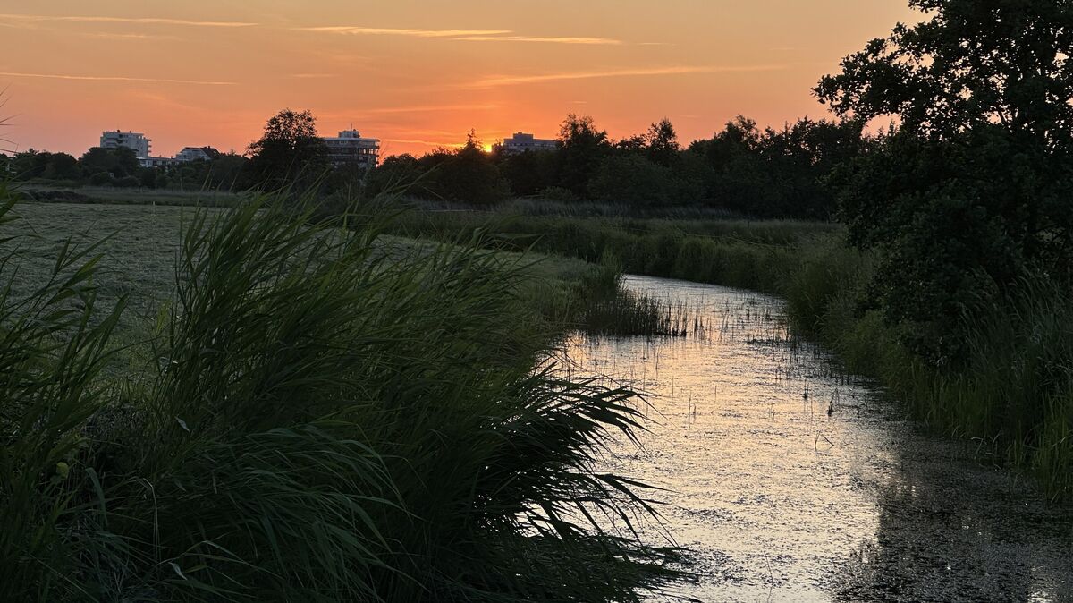 Über 900 Kilometer umfasst das Gewässernetz auf dem Gebiet der Stadt Cuxhaven. Die Wasserläufe bieten nicht nur stimmungsvolle Ansichten, sondern erfüllen einen wichtigen Zweck. Foto: Reese-Winne