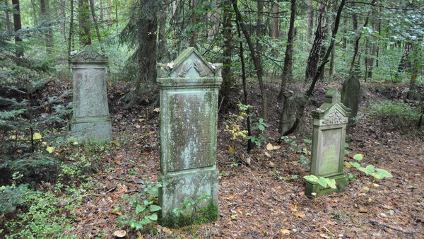 Führung über den jüdischen Friedhof Wingst: Rabbi erklärt Begräbniskultur