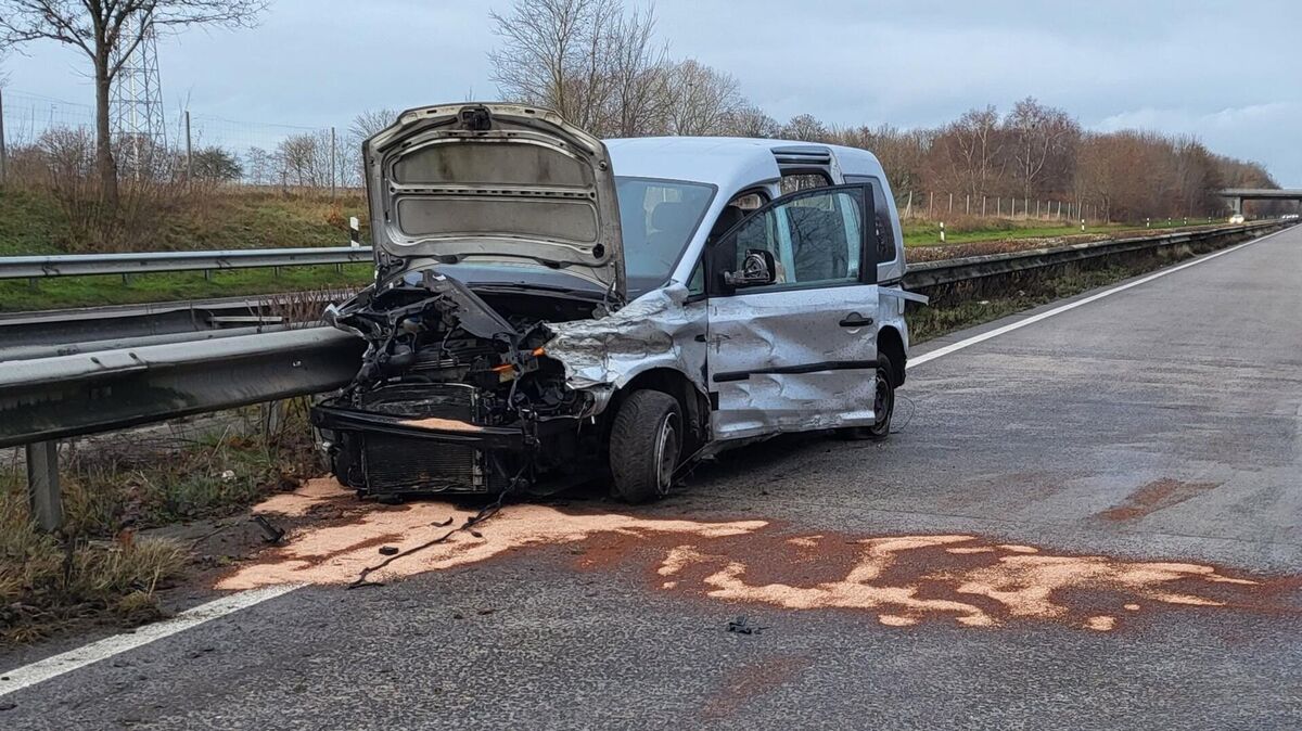 Der Siebensitzer kollidierte mit der Schutzplanke, drei Insassen wurden auf die Fahrbahn geschleudert. Foto: Polizei Cuxhaven