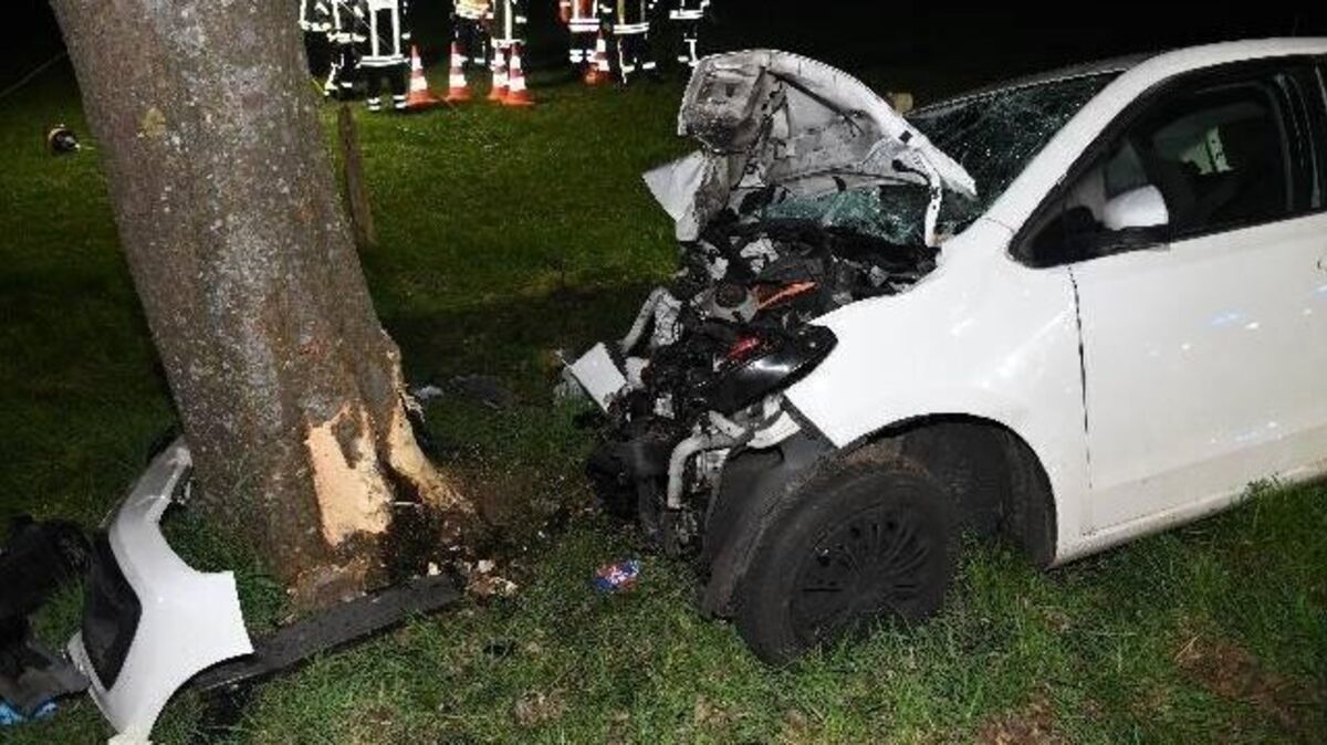 Neben der Straße prallt das Auto gegen einen Baum. Foto: Polizei