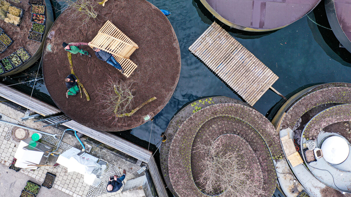 Für die "schwimmenden Gärten", die innerhalb der 2021er-Exposés für den Bereich Bauhafen vorgesehen waren, gibt es ein Vorbild aus Süddeutschland: Bei der Landesgartenschau in Überlingen (Bodensee)  gehörten schwimmende Inseln zu den Besucherattraktionen. Foto: dpa