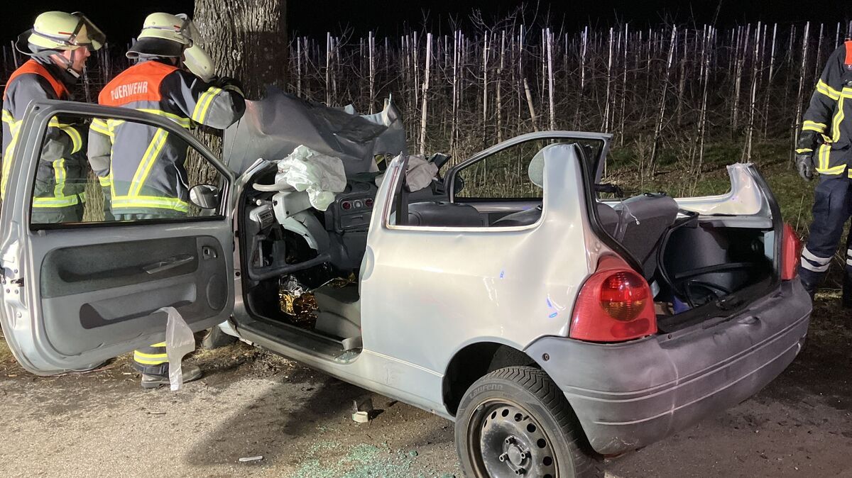 Das Unfallfahrzeug ist nach der Kollision mit dem Baum stark beschädigt. Das Dach trennte die Feuerwehr ab. Foto: Polizei