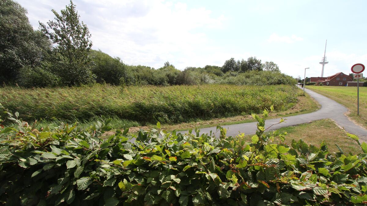 Auf diesem schon einmal ins Auge gefassten Grundstück am Meierhof will der Landkreis die Bleickenschule neu bauen. Foto: Reese-Winne