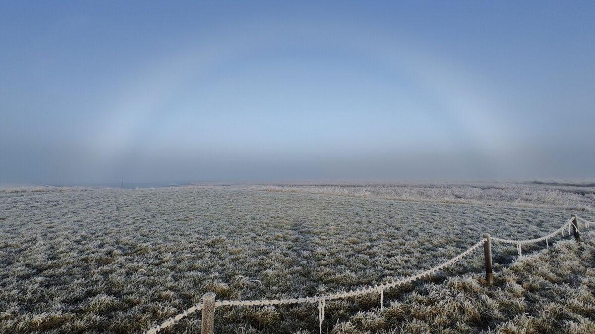 Ein seltener Nebelbogen erstreckt sich über die frostige Landschaft des Deichvorlands von Cappel-Neufeld. Foto: Deykowski