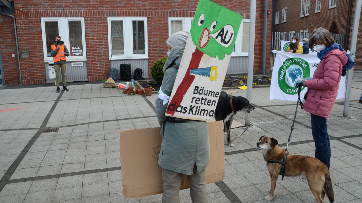 Kundgebung von "Fridays" und "Parents for Future" zum ersten globalen Klimastreik am Freitag vor dem Cuxhavener Rathaus. Der Protest richtete sich gegen die Errichtung des Holzheizkraftwerkes in der Stadt. Fotos: Rohde