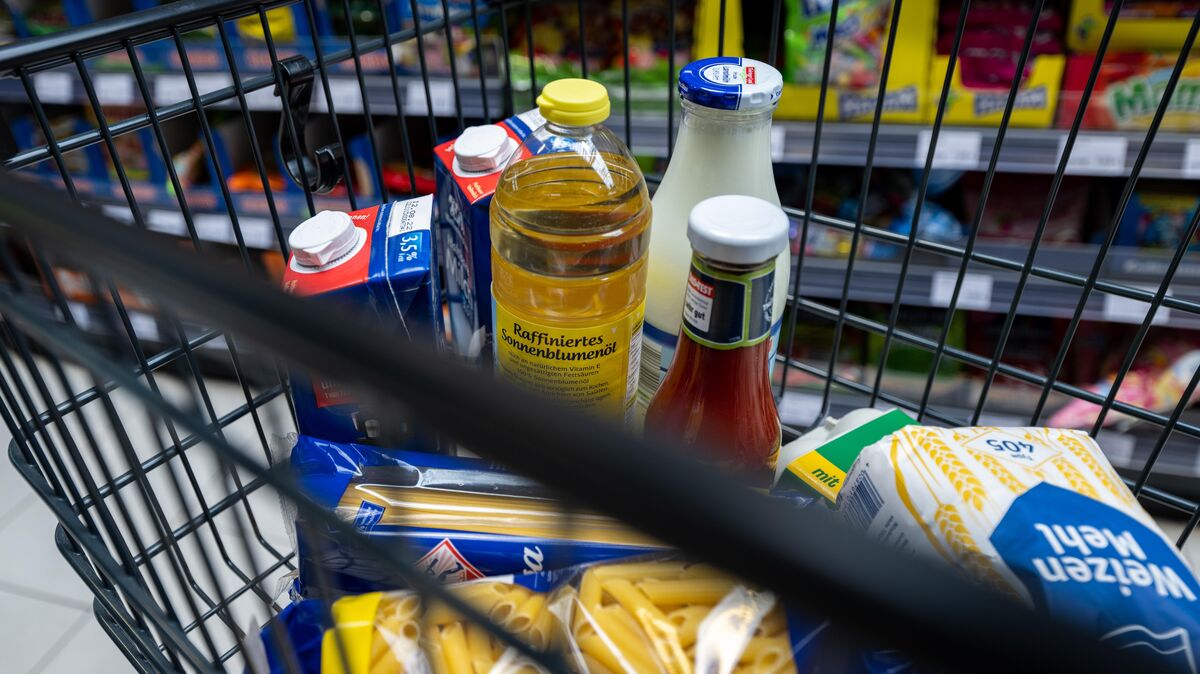 Milch, Öl, Mehl und Fleisch sind deutlich teurer geworden, aber auch bei Nudeln und Zucker erwarten Experten in den kommenden Monaten Preisanstiege. Die gute Nachricht: Bei einigen Produkten sind die Preise schon wieder leicht gesunken. Foto: Hendrik Schmidt
