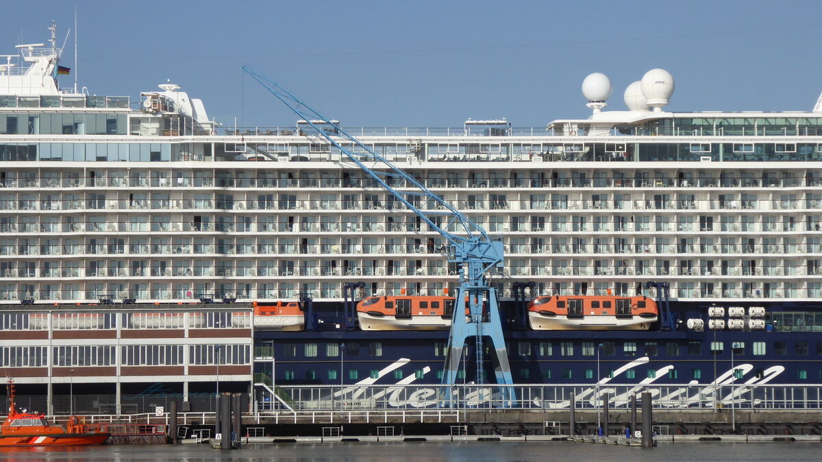 Der Kran auf dem Steubenhöft wurde 1955 gebaut. Damals gehörte er zu den höchsten Bauwerken der Stadt. Foto: Reese-Winne