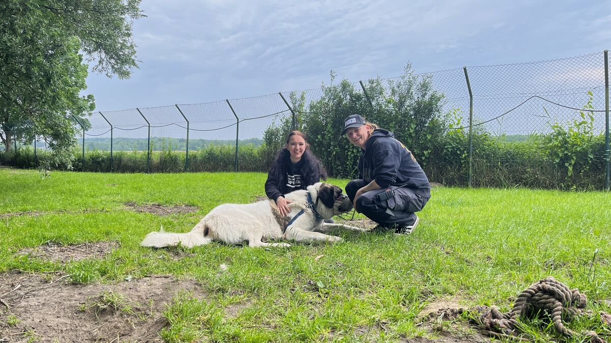 Jaimy Hormes (links) und Manuela Lemkau haben Zeus schon jetzt in ihr Herz geschlossen. Foto: Grell