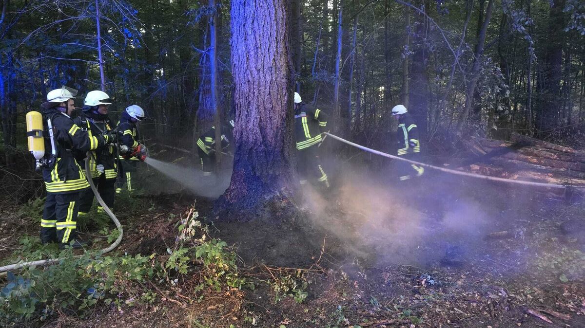 Ein großer Holzstapel aus mehreren kräftigen Baumstämmen war aus bislang ungeklärter Ursache in Wanna in Brand geraten. Foto: Feuerwehr