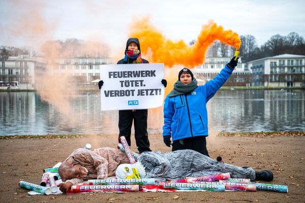 «Feuerwerk tötet» - Aktivisten fordern Verbot an Silvester