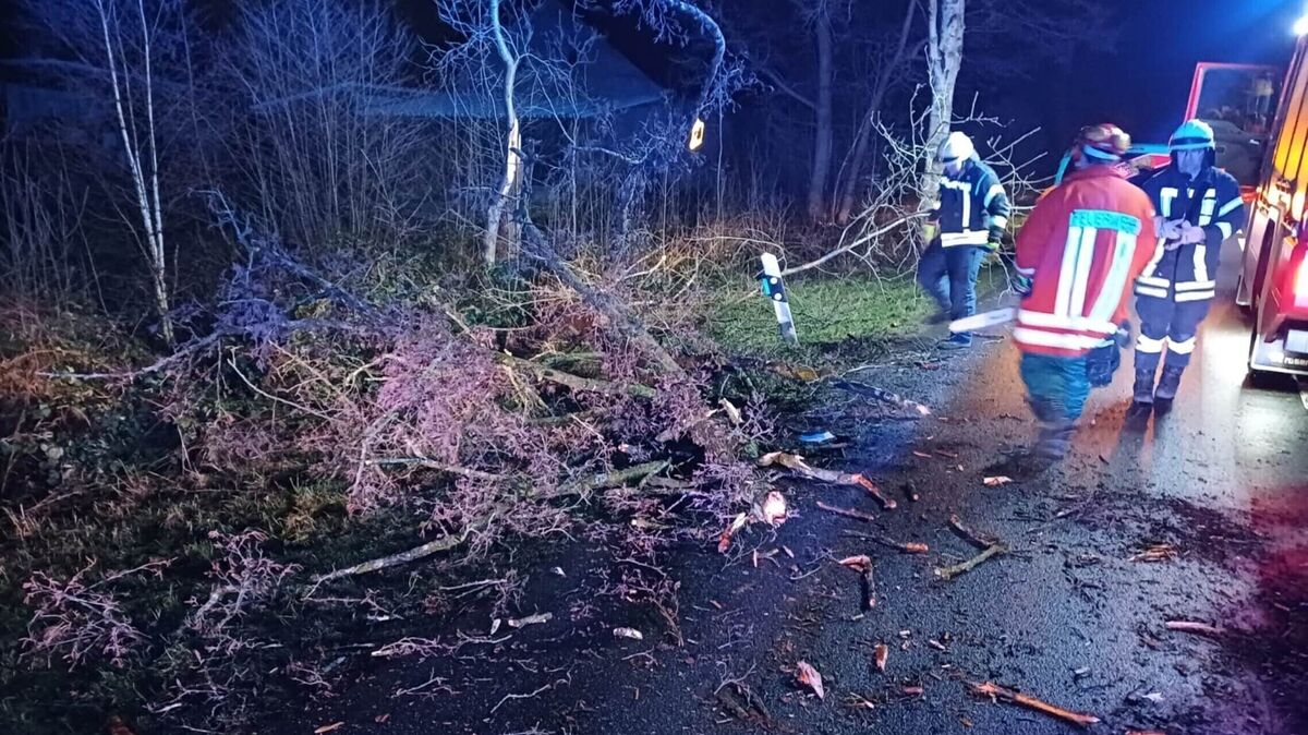Nachdem ein Lkw mit dem Baum kollidiert ist, liegen die Äste auf der gesamten Straße und im Seitenraum verteilt. Foto: Feuerwehr