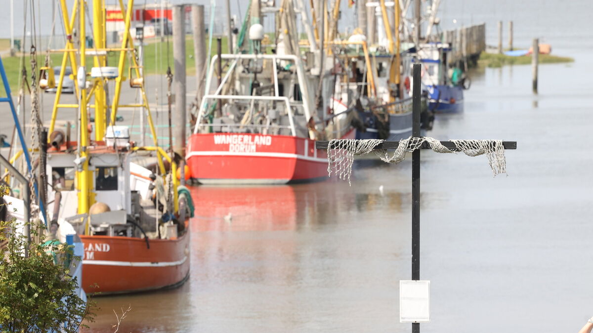 Seit 2023 stehen an allen Fischereihäfen an der Nordseeküste mahnende Kreuze, die auf das drohende Ende der traditionellen Küstenfischerei in Deutschland hinweisen sollen. Foto: Larschow