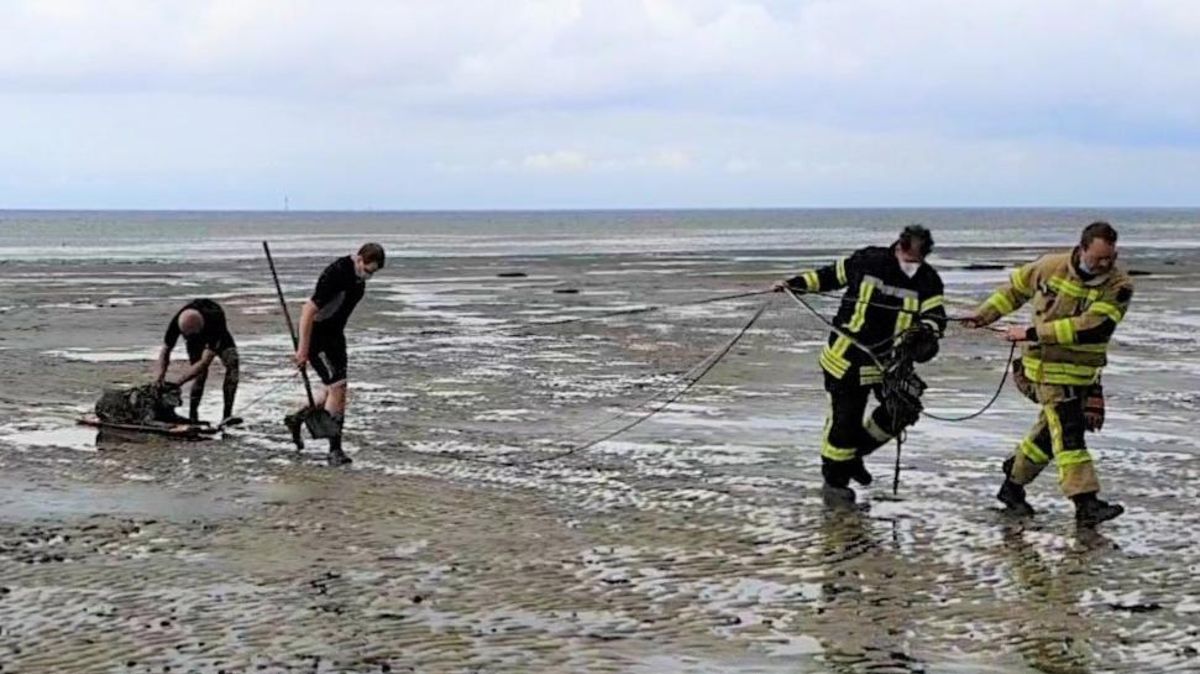 Nachdem sich die Urlauberin bereits selbst aus dem Schlickfeld im Watt vor Cuxhaven-Döse befreit hatte, musste ihr Hund von der Wattrettungseinheit der Berufsfeuerwehr Cuxhaven sicher an den Strand gebracht werden. Foto: Berufsfeuerwehr Cuxhaven