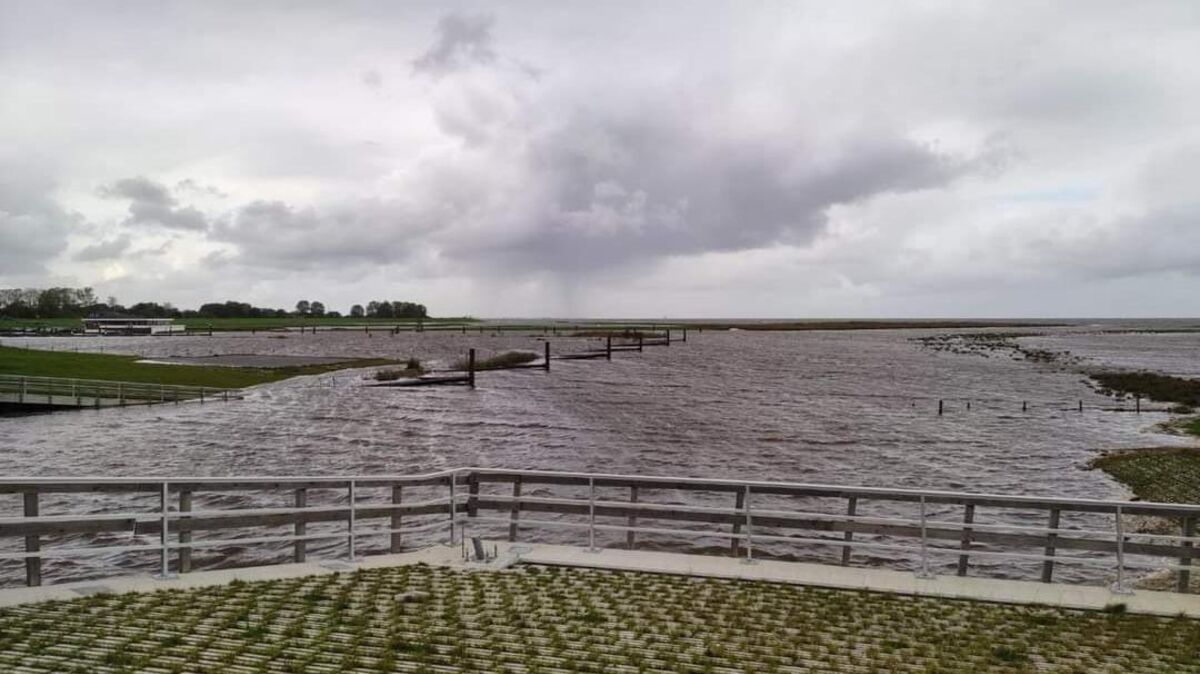 Die Otterndorfer Einsatzkräfte suchten im Wasser treibende Rehe. Die Tiere brachten sich aber selbst in Sicherheit. Foto: Feuerwehr Otterndorf