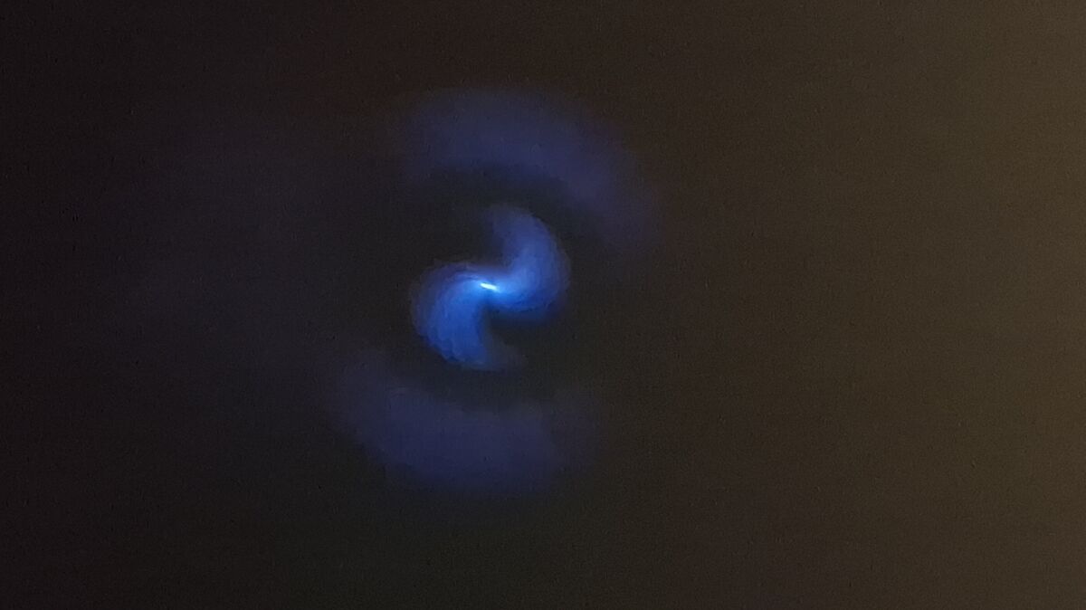 Finn Bültemann traute seinen Augen nicht: Dieses Foto schoss der Wingster auf dem Rückweg von der Fahrschule mit seinem Handy. Foto: Finn Bültemann