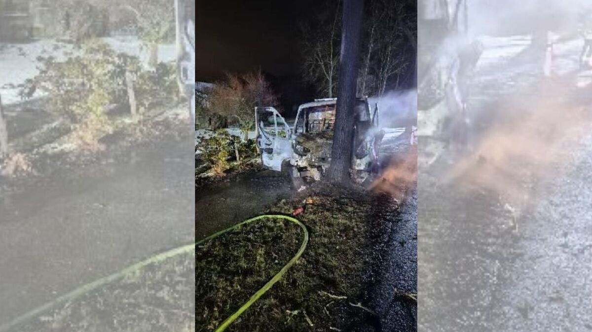 Der Kleintransporter prallte auf der Heerstraße in Cuxhaven gegen einen Straßenbaum und fing anschließend im Motorraum Feuer. Foto: Polizei Cuxhaven