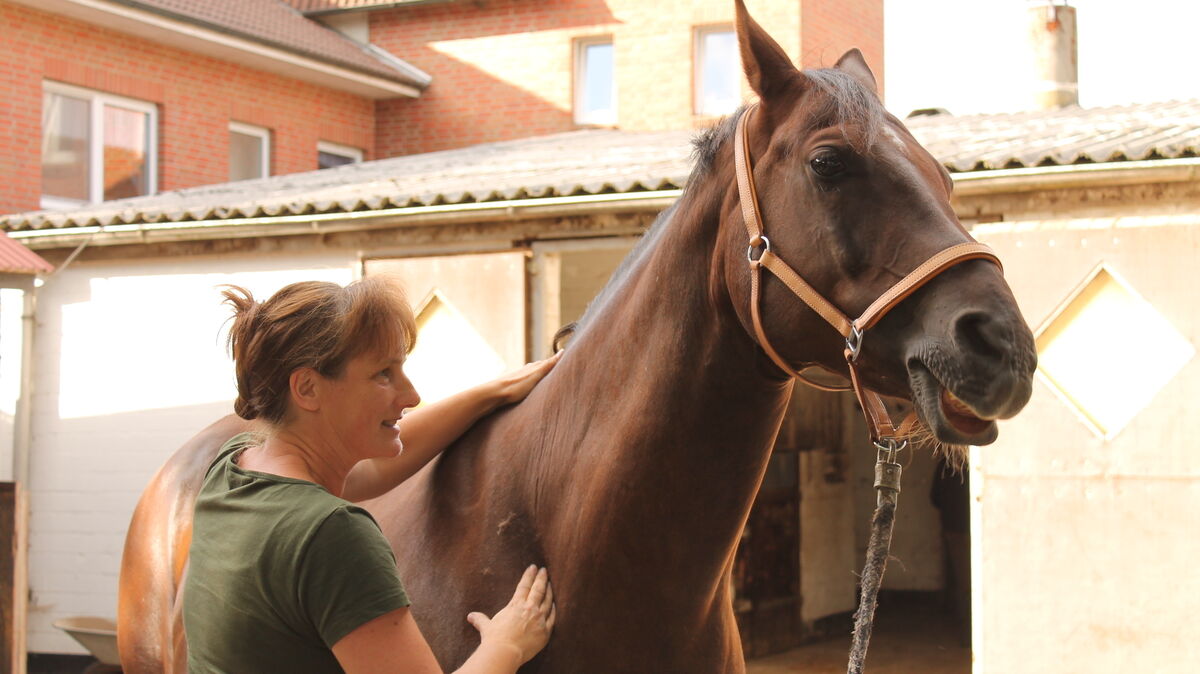 Tierheilpraktikerin Jutta Rieger-Küster arbeitet auch mit Massagen an Pferden. Foto: privat