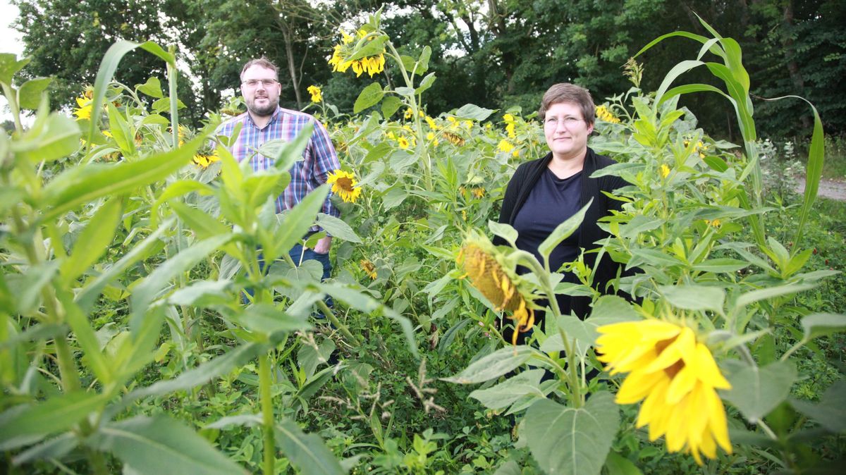 Überraschungserfolg: Erst im Mai hat sich die Grünen-Gruppe in Wurster Nordseeküste gebildet. Ab 1. November sitzen mit Anja Hanke, Jan-Hendrik Sibberns, Heike Klasen (nicht im Bild) und Marius Richter (nicht im Bild) gleich vier Grüne im Gemeinderat. Fotos (2): Leuschner