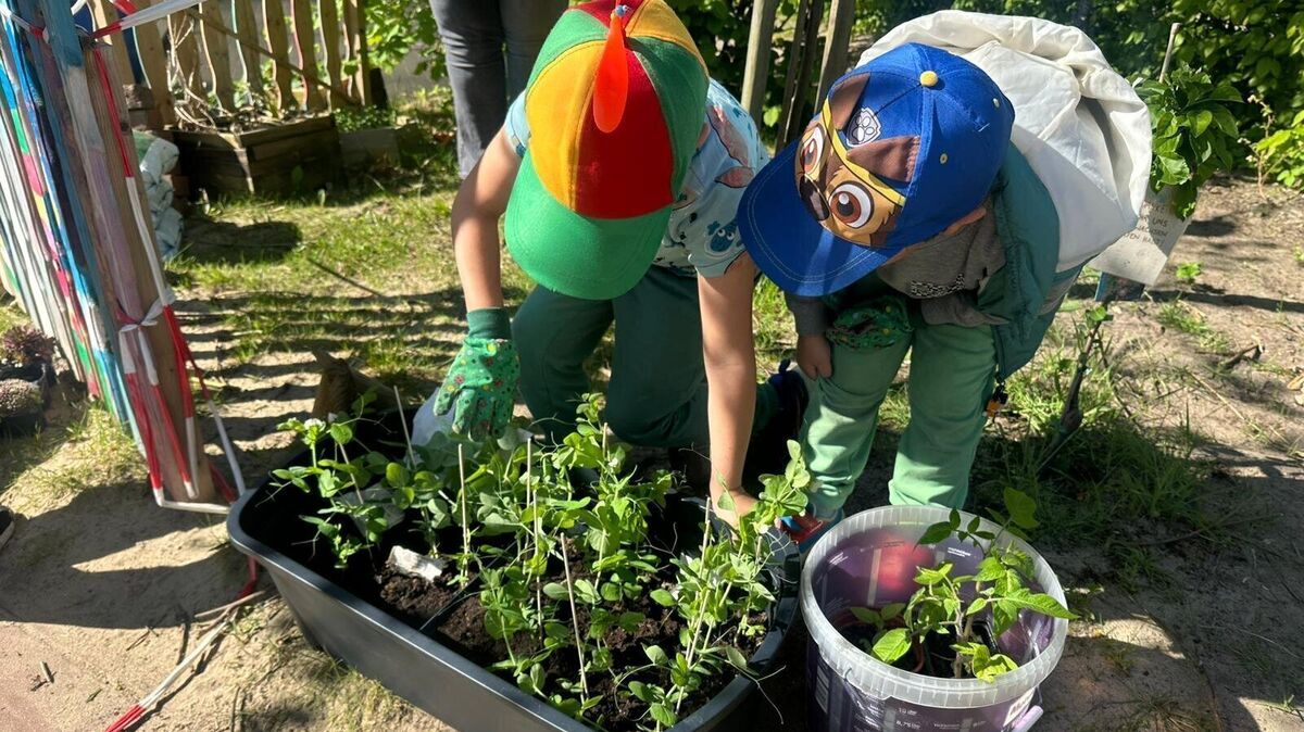 Kinder des AWO-Sprachheilkindergartens in Cuxhaven pflanzen gemeinsam mit Begeisterung junge Setzlinge und lernen so früh die Bedeutung von Natur und Nachhaltigkeit kennen. Foto: Francke