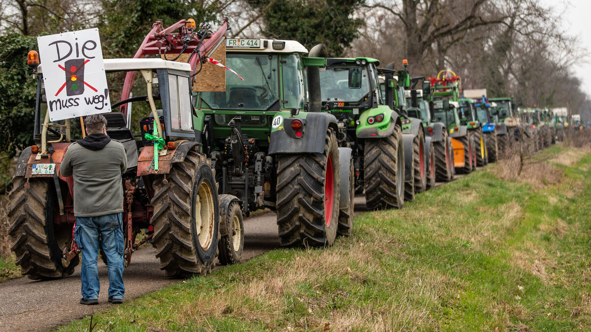 Bundesweit demonstrierten zu Beginn des vergangenen Jahres Landwirtinnen und Landwirte gegen die aktuelle Bundesregierung. Foto: dpa/Christoph Schmidt