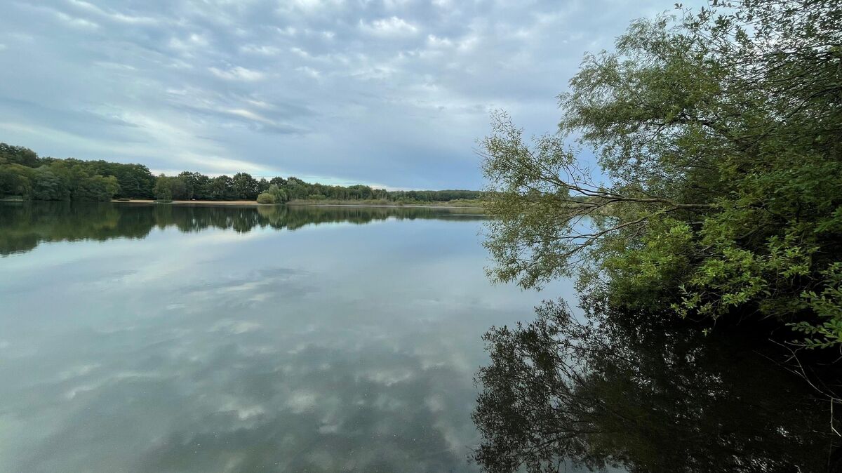Blick über den zur Abendstunde scheinbar "reglosen" See: Wer sich die Zeit nimmt und lauscht, wird das Trillern von Wasservögeln hören, die im ufernahen Bereich übers Wasser ziehen. Foto: Koppe
