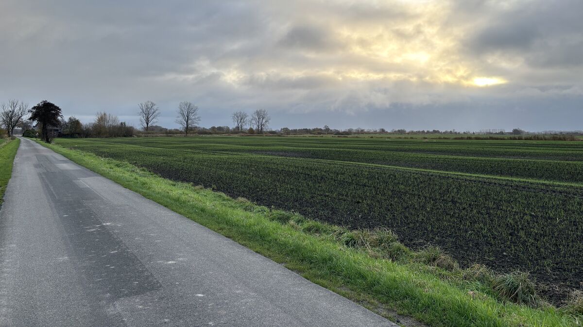 Die Fläche des Solarparks ziehe sich vom Schinkelweg (Foto) in Richtung Süden. Foto: Grell