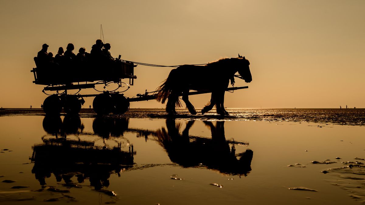 Vor beinahe zweieinhalb Jahren verunglückten die Insassen eines Cuxhavener Wattwagens bei Abfahrt von der Insel Neuwerk. Die Ursachen des Unfalls werden seit Dienstag vor dem Hamburger Amtsgericht beleuchtet.  Symbolfoto: Assanimoghaddam/dpa