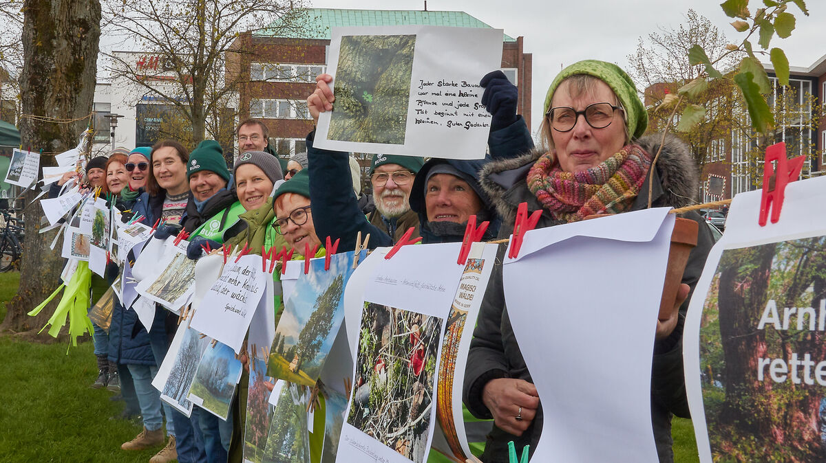 Die Initiatoren der Aktion zum internationalen "Tag des Baumes" haben am Schleusenpriel eine Wäscheleine gespannt. Daran hängen Gedichte, Fotos und zahlreiche "Baumbilder", die Kinder aus Cuxhavener Kindergärten und Hortgruppen gemalt haben. Foto: Koppe