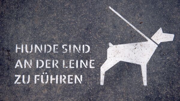 Hundesteuer im Kreis Cuxhaven: Warum Hundehalter bis zu dreimal so viel zahlen