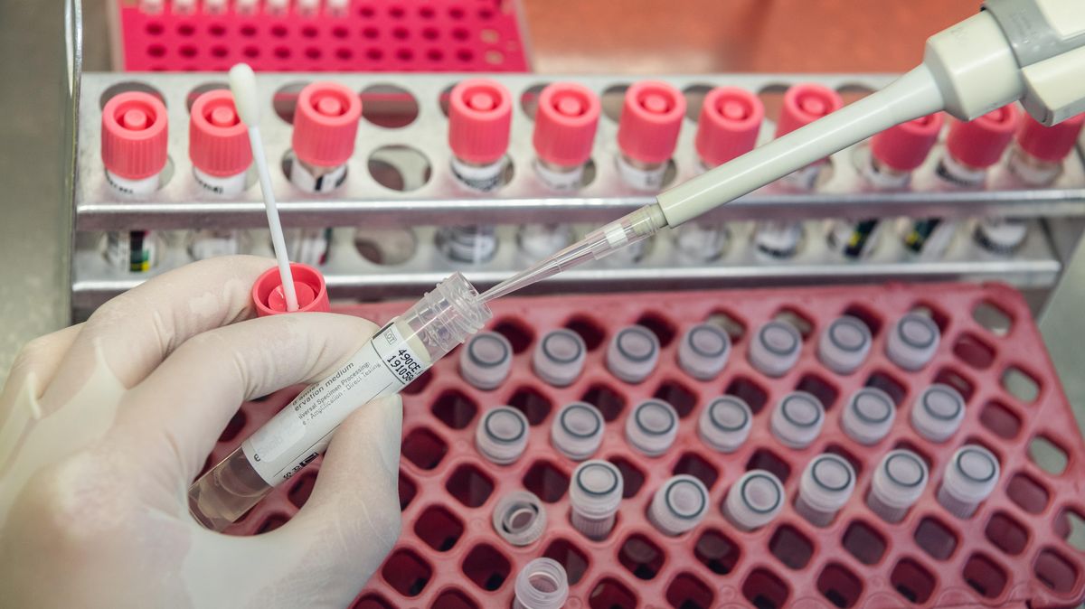 Insgesamt 17 neue bestätigte Corona-Fälle meldet der Landkreis am Donnerstag. Symbolfoto: Robert Michael/dpa