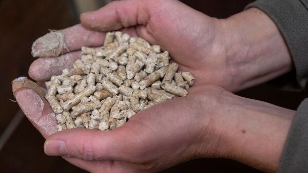 Wie klimaneutral sind Holzheizungen wirklich?