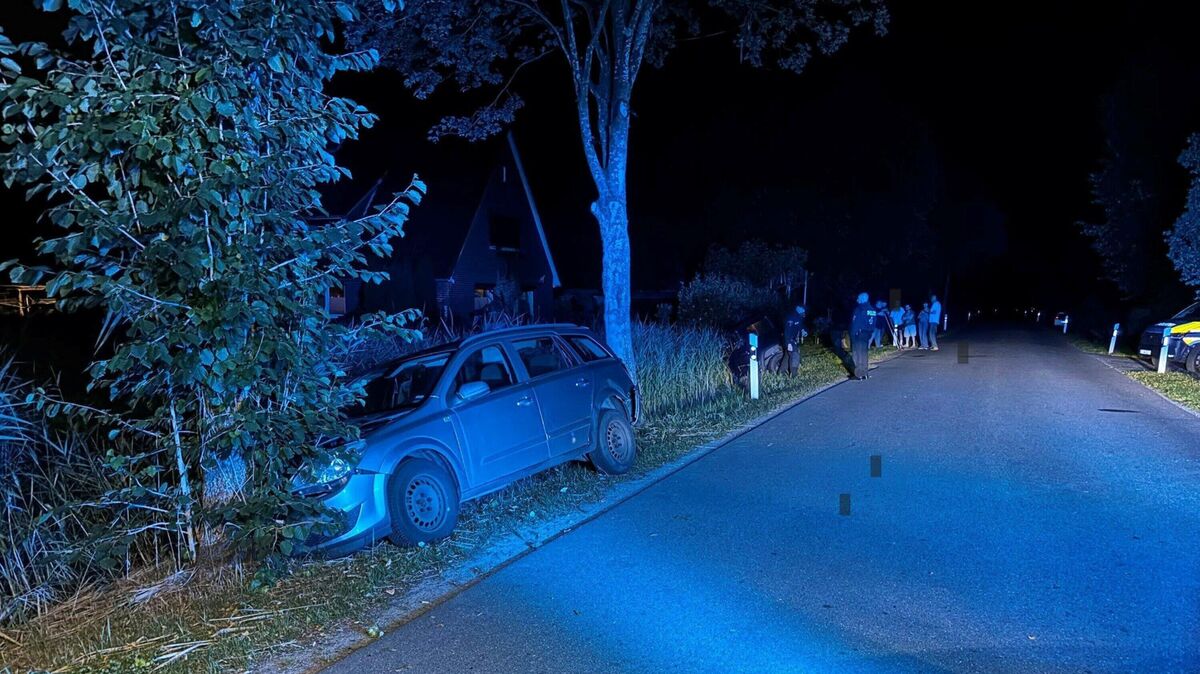 Durch die Wucht des Aufpralls wurde der geparkte Opel gegen einen Baum geschleudert. Der Suzuki kam erst im angrenzenden Straßengraben zum Stillstand. Foto: Jürgen Lange