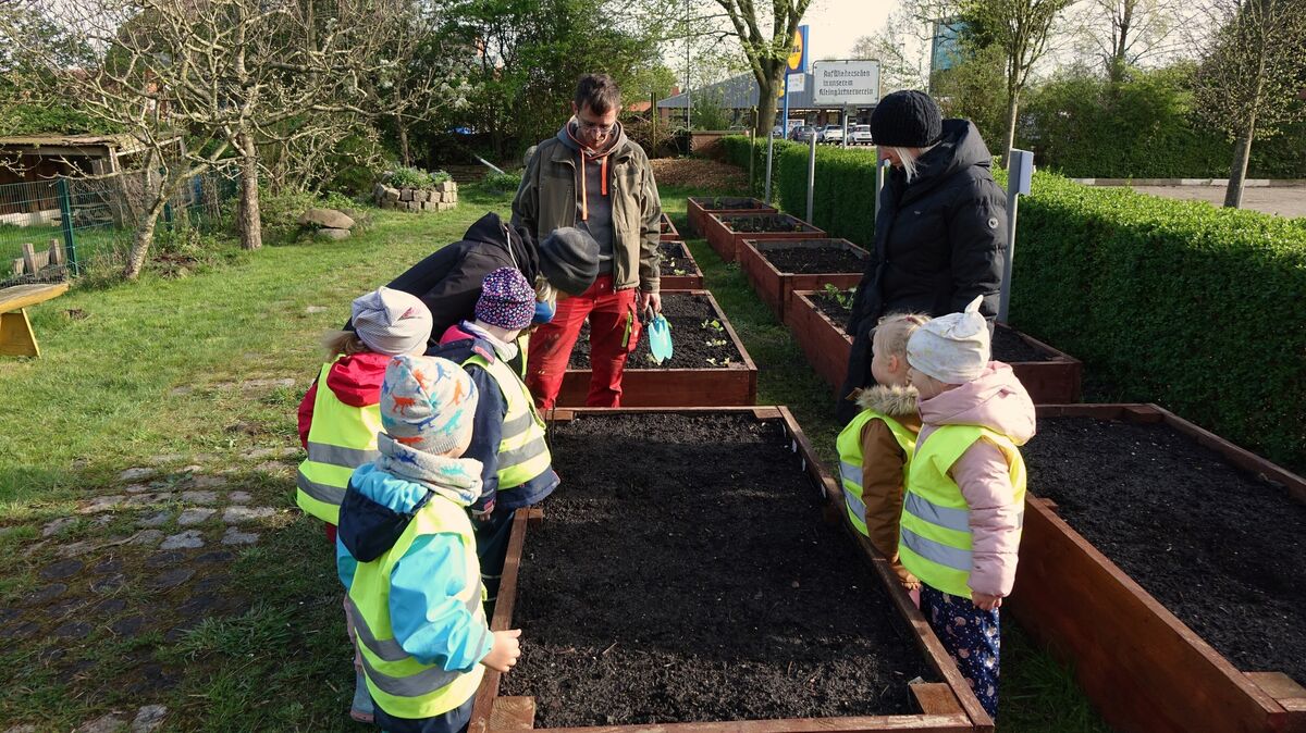 Gemeinsam mit Mirko Hagner (Mitte) schauen sich die Kinder und Erziehrinnen die Hochbeete an. Foto: Grell