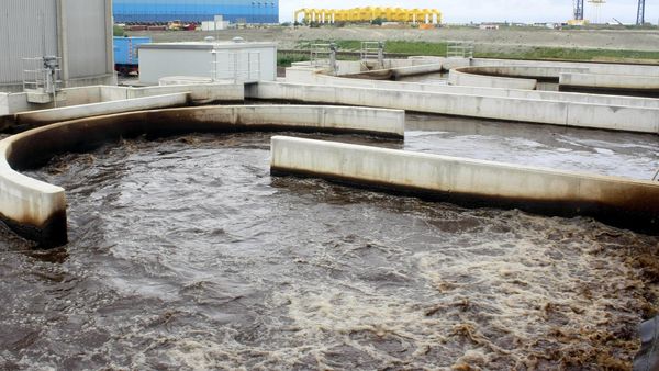 EWE-Abwasserpanne: Chefs sind freigestellt