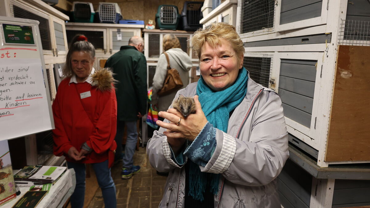 Igelretterin Stefanie Röse zeigt den Besuchern der Auffangstation einen ihrer Schützlinge. Foto: Fischer