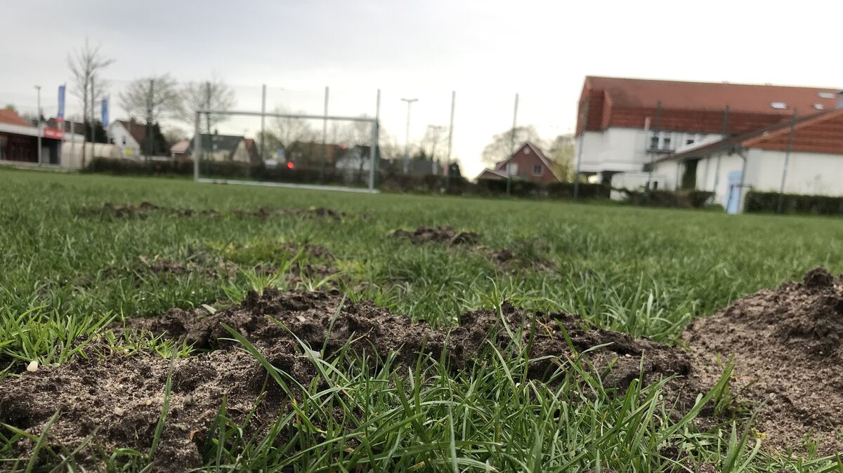 Die Zeiten des holprigen Bolzplatzes sind bald vorbei. Noch in diesem Jahr entsteht auf der Fläche ein Kunstrasenplatz. Foto: Unruh